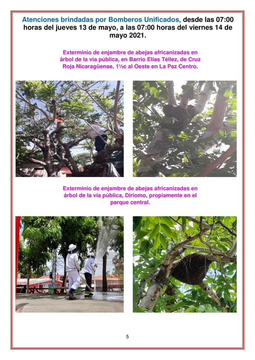 reporte
